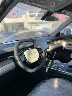 جیتۆر داشينگ